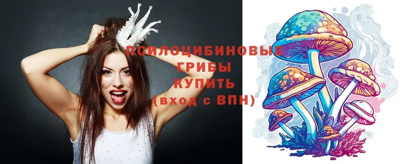 Псилоцибиновые грибы Magic Shrooms  Ясногорск 